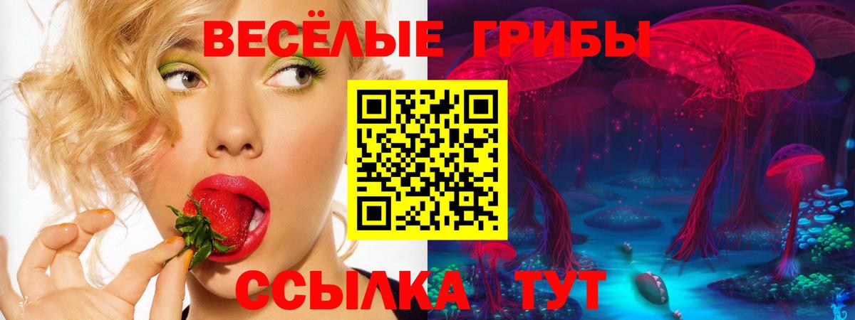 Курск  Псилоцибиновые грибы Psilocybe  Вход с VPN  Псилоцибиновые грибы ЛСД 