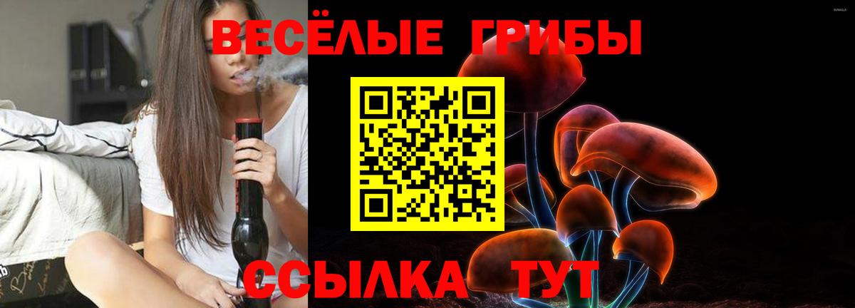 Галлюциногенные грибы MAGIC MUSHROOMS Курск